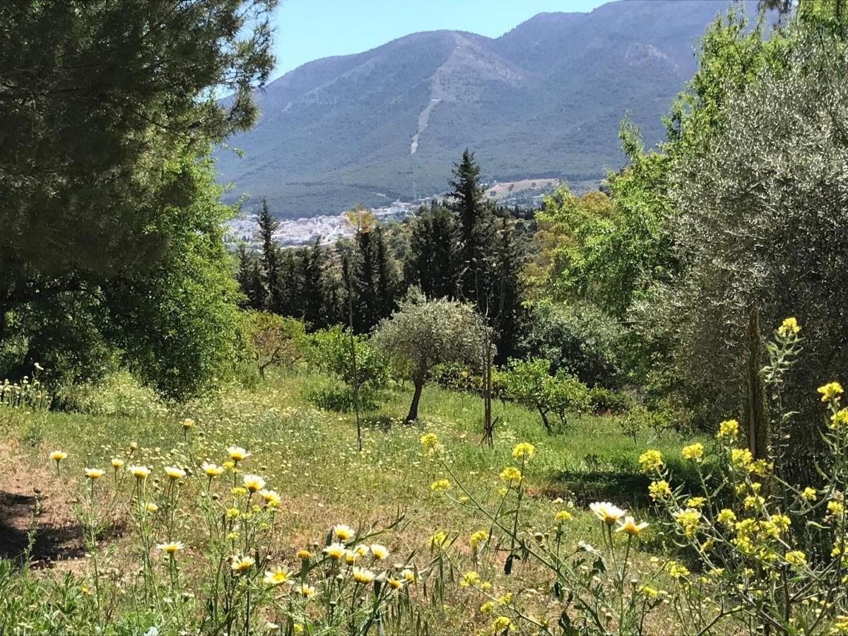 Studio Views Apartment, Cortijo Fruitful Hills Málaga Dış mekan fotoğraf